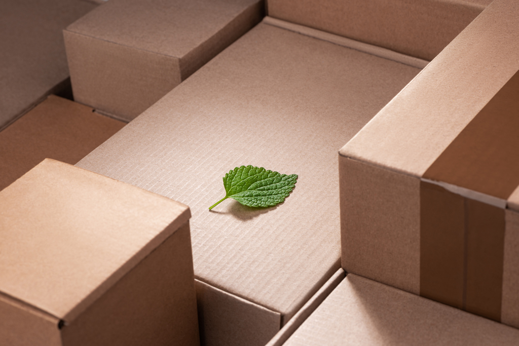 The Importance of Sustainable Packaging Solutions Featured Image